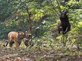 Mukundra Hills National Park  Darrah Wild Life Sanctuary