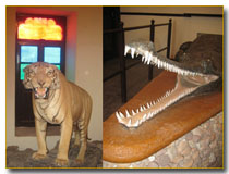 maharaj-bahadur-museum-bundi