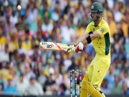 India haven't won the game against us all through the summer, reminds Glenn Maxwell