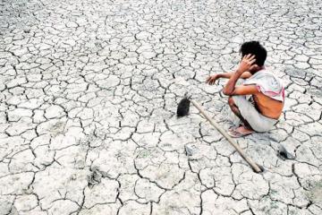 41 farmers in Rajasthan have died since violence broke crop