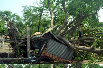 Bihar thunderstorm kills 42