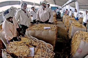 Centre's support sought for tobacco ryots