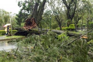 Typhoon Goni hits Okinawa after killing 15 in Philippines