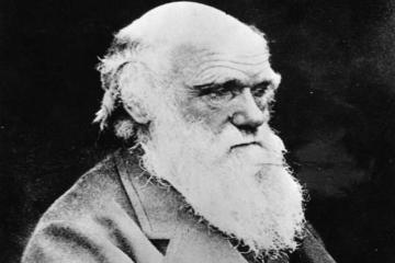 Darwin�s letter professing atheism goes on auction