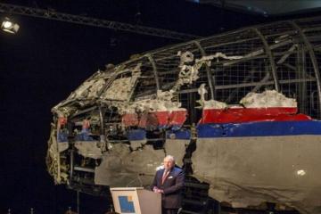Buk missile destroyed MH-17, says report