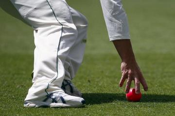 Australia wins first day-night Test by 3 wickets