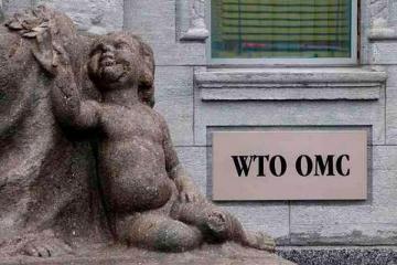 India wants WTO to discuss farm subsidies of the rich