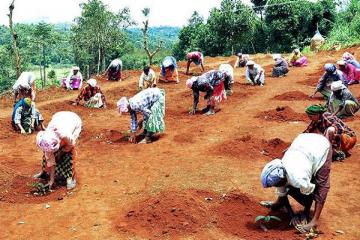 Job scheme facing fund crunch