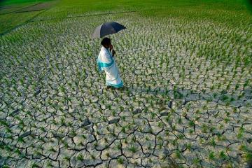 IMD to issue block-level forecasts soon