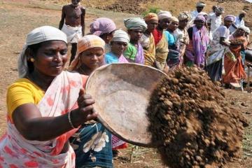 Do you want to break away from the Union, court asks Gujarat