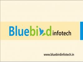 bluebird infotech