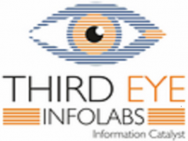 Third Eye Infolabs Private Limited