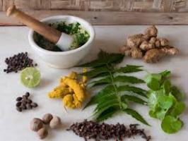 Ayurvedic Herbs Ayurvedic Herbs