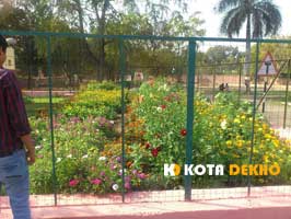Chambal Garden Koa Chambal Garden Koa
