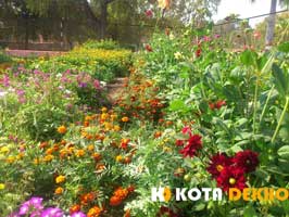 Chambal Garden Kota Chambal Garden Kota